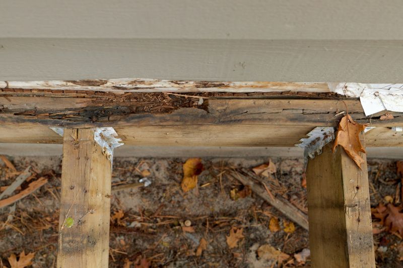 Dry Rot Repair Service