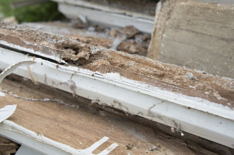 Dry Rot Repair Service