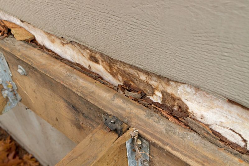 Dry Rot Repair Service