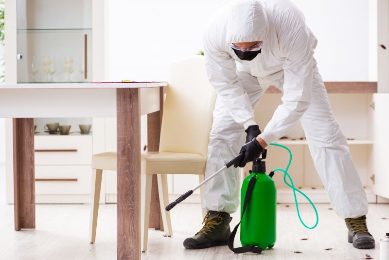 Insect Extermination Service