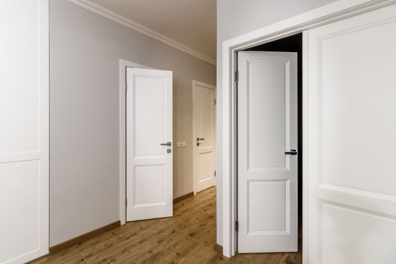 Interior Door Painting