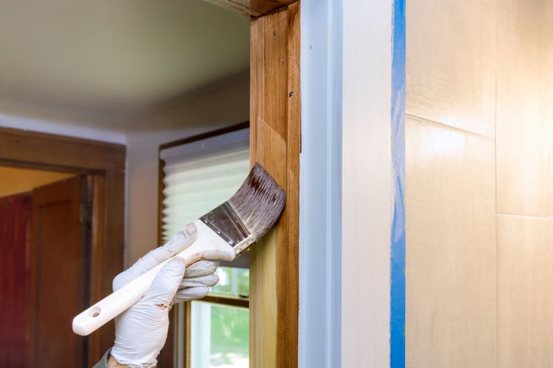 Interior Door Painting