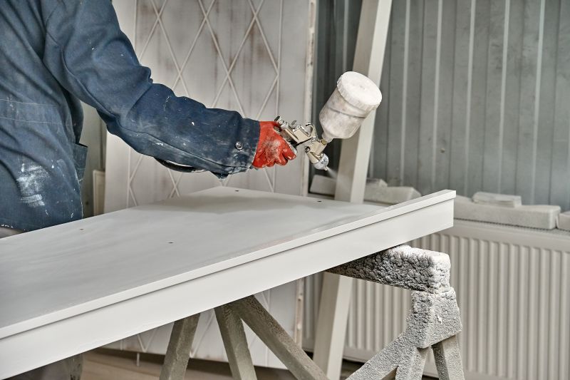 Interior Door Painting