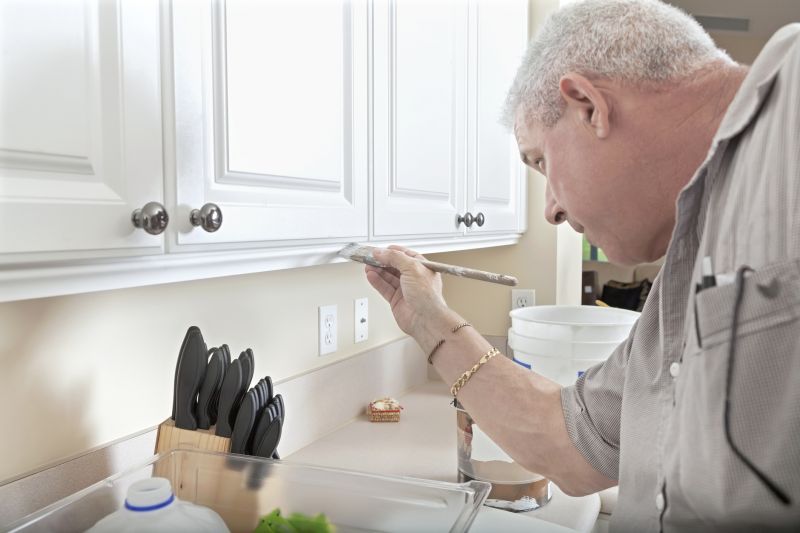 Kitchen Cabinets Painting
