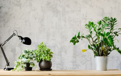 Kitchen Wallpaper Installation