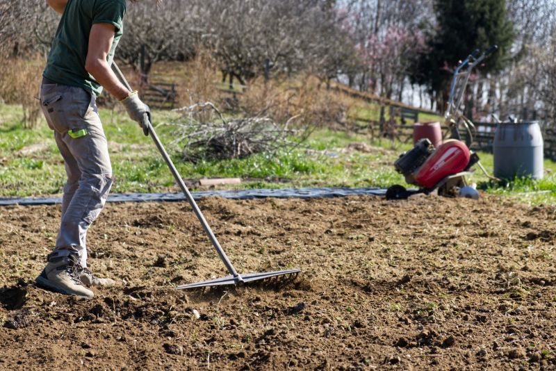 Lawn Leveling