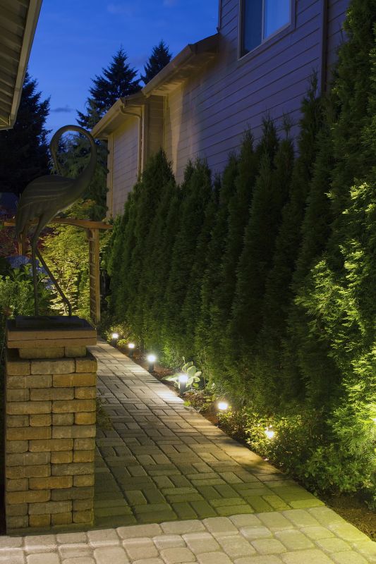 Low Voltage Lighting Service