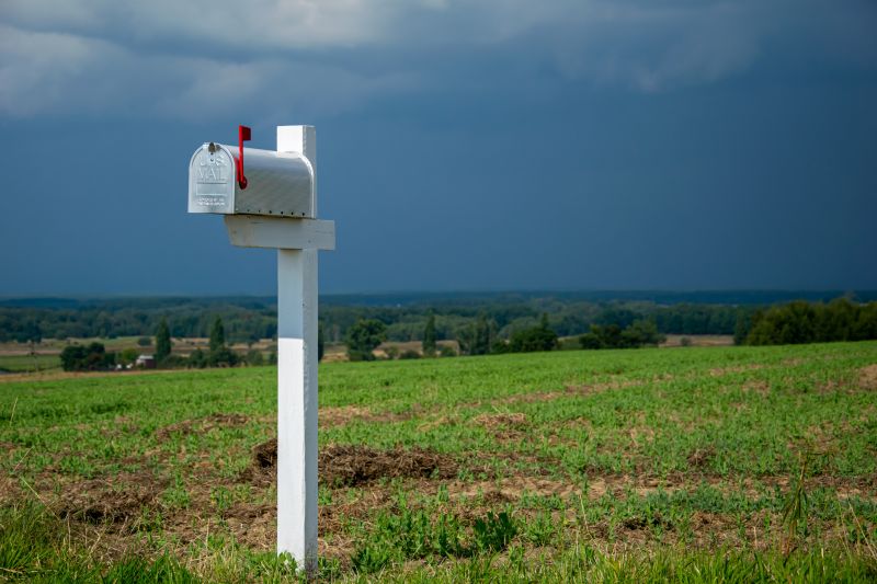 Mailbox Painting