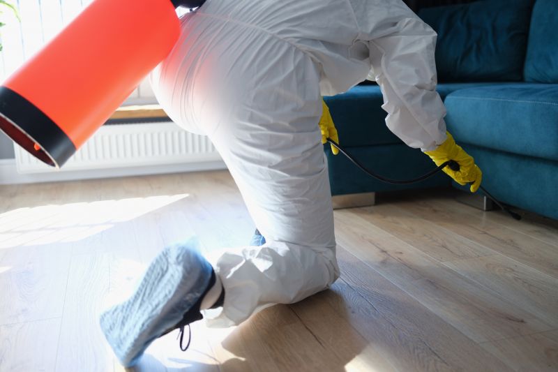 Mice Extermination Service
