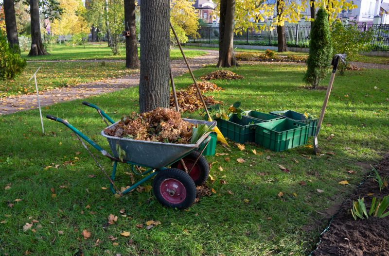 Parking Lot Land Clearing