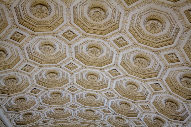 Plaster Ceiling Installation