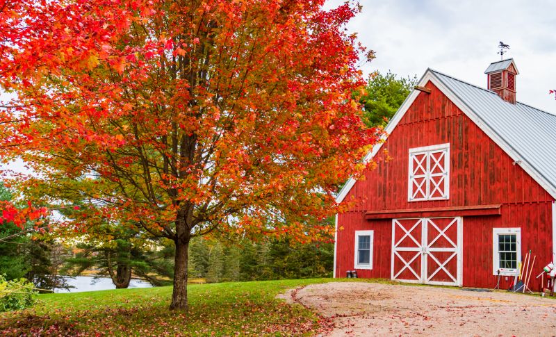 Pole Barn Framing