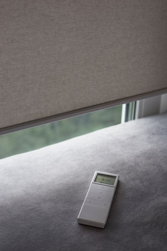 Remote Control Blinds Service