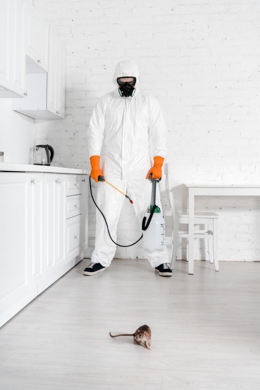 Rodent Control Service