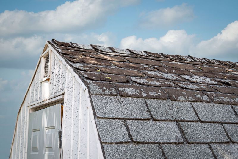Shed Repair