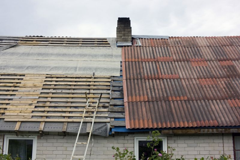 Shed Repair