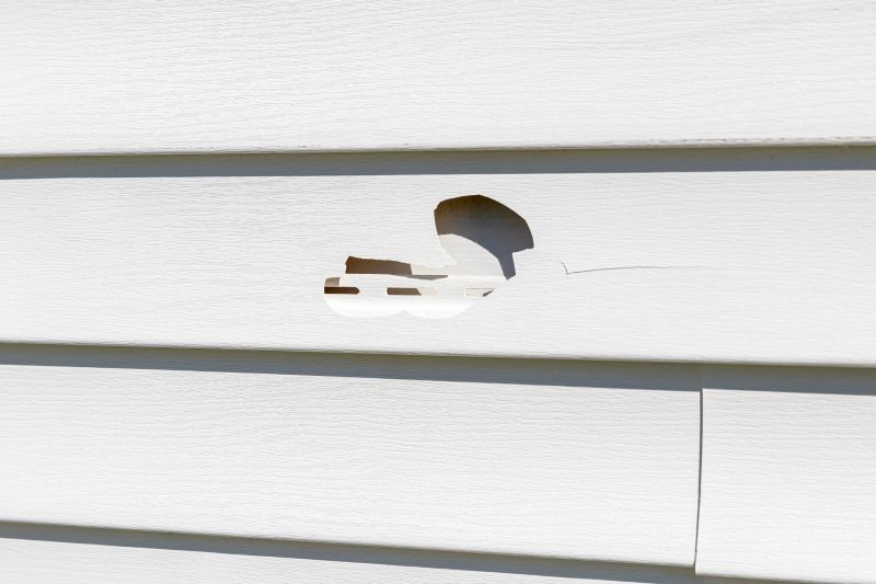 Sheet Vinyl Repair
