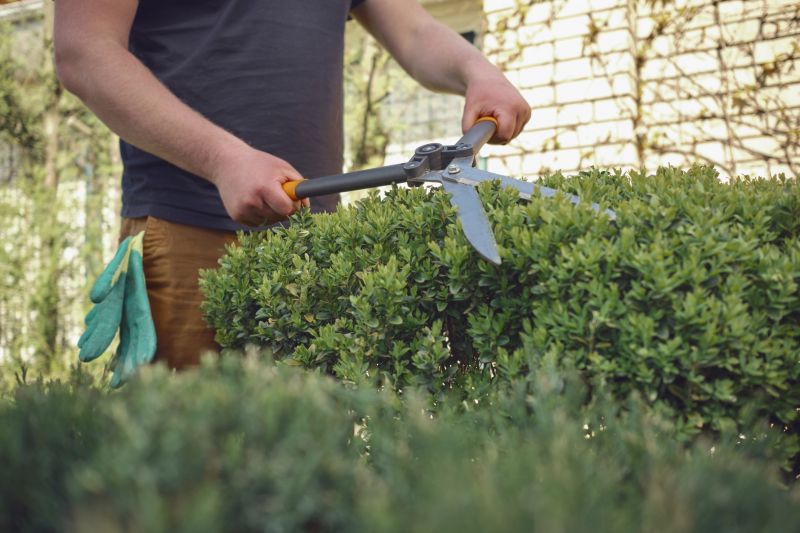Shrub Trimming