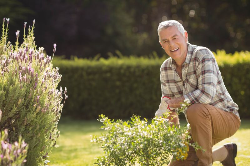 Shrub Trimming