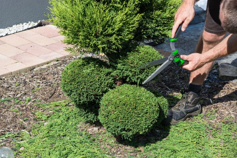Shrub Trimming