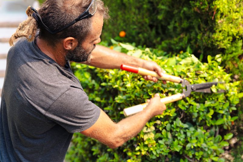 Shrub Trimming