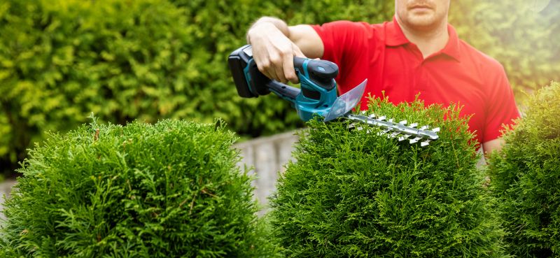 Shrub Trimming