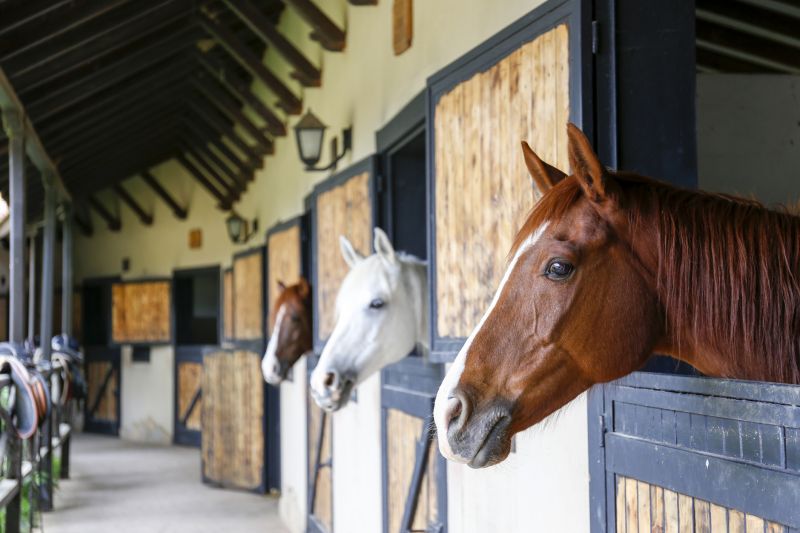 Stable Repair