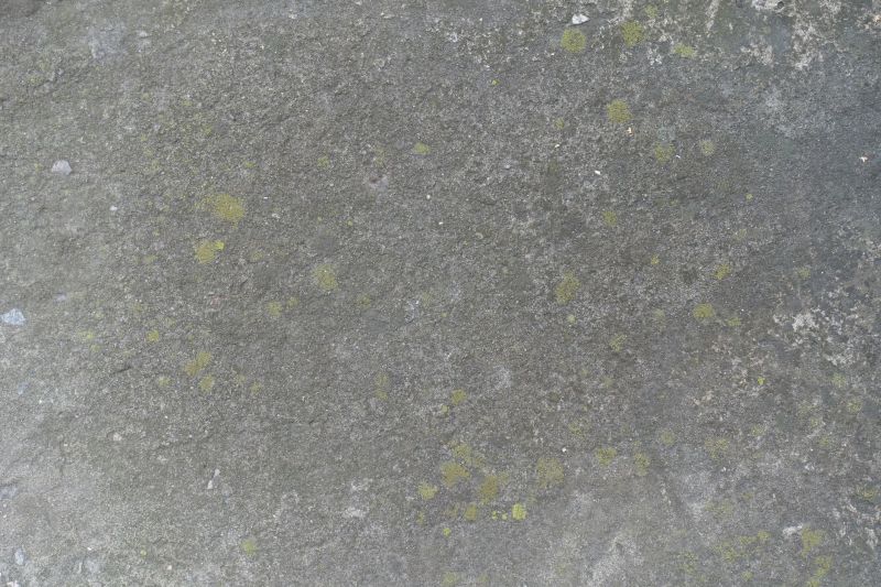 Stained Concrete Installation