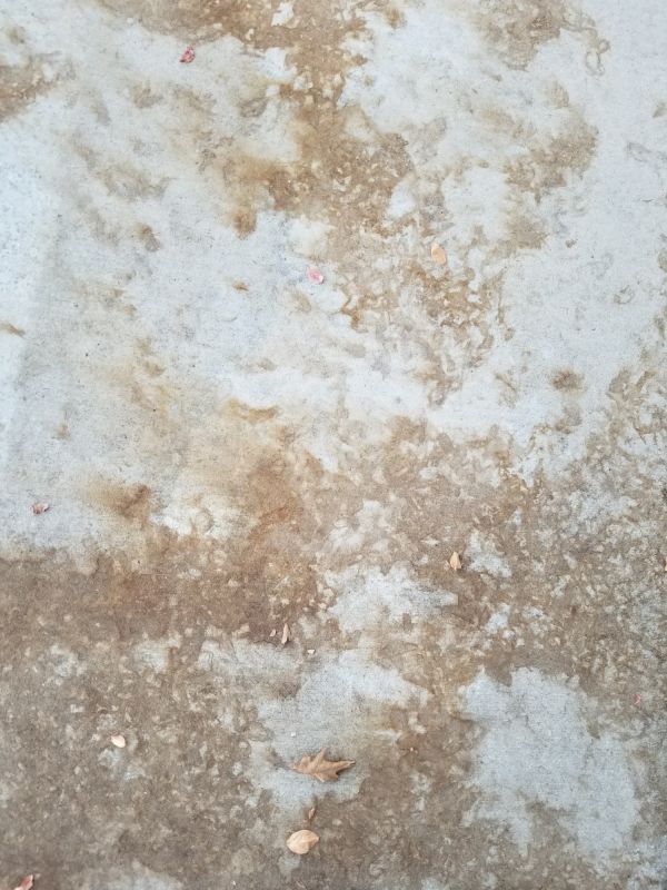 Stained Concrete Installation