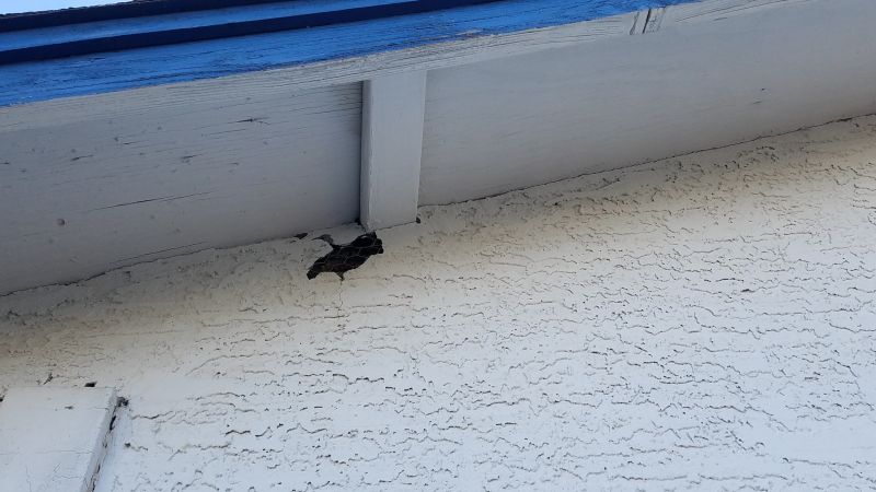 Synthetic Stucco Replacement