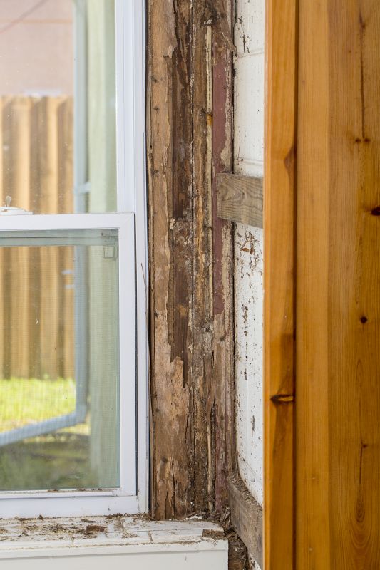 Termite Damage Repair Service