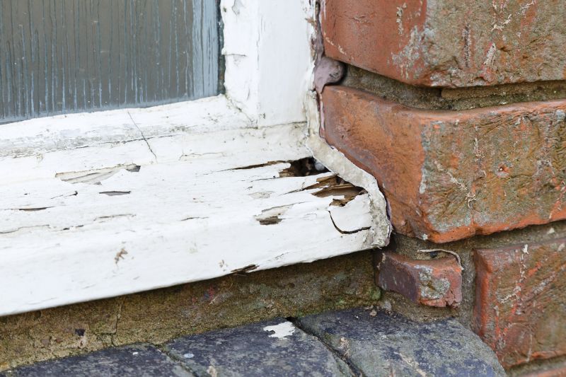 Window Rot Repair