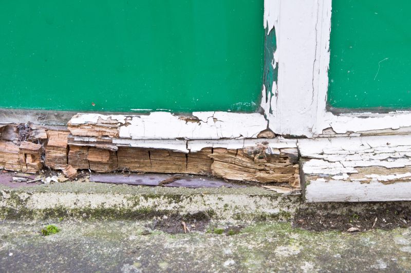 Window Rot Repair