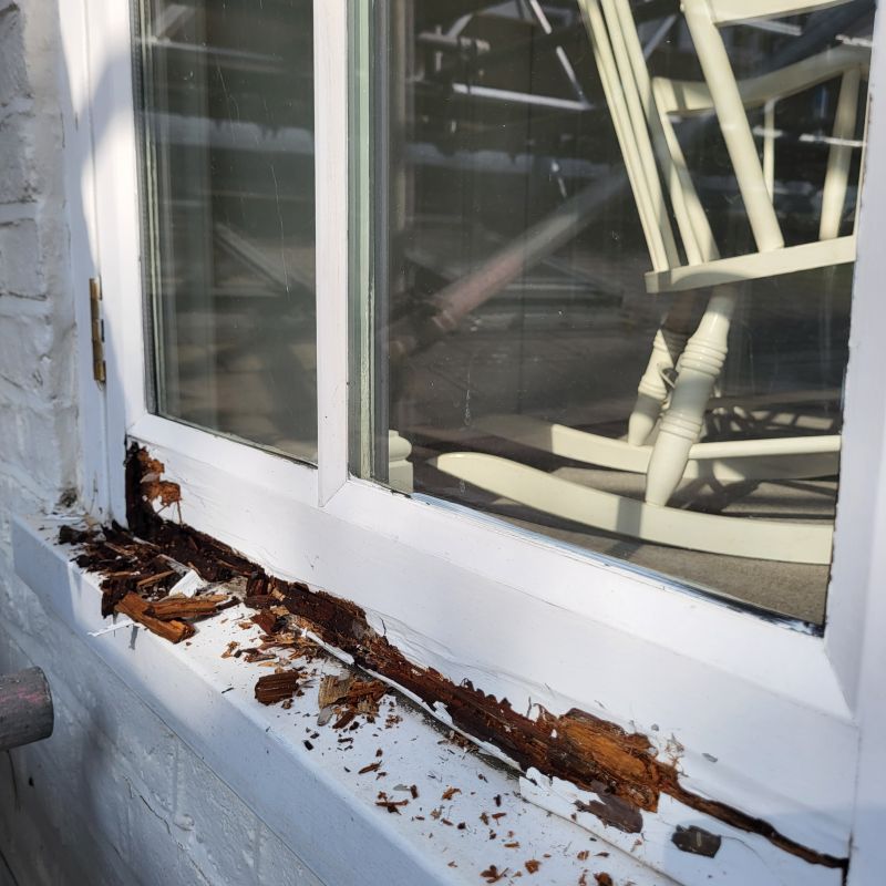 Window Rot Repair