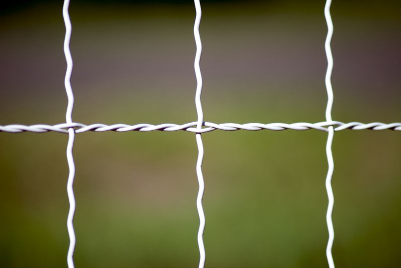 Wire Fence Painting