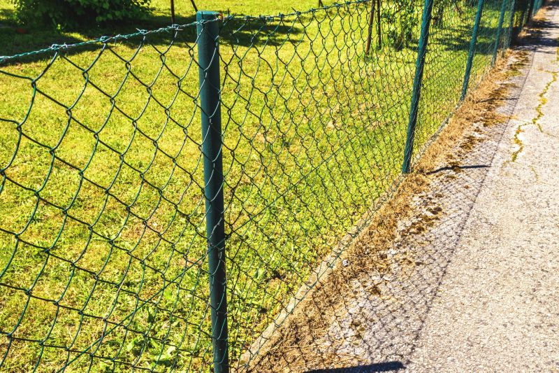 Wire Fence Painting