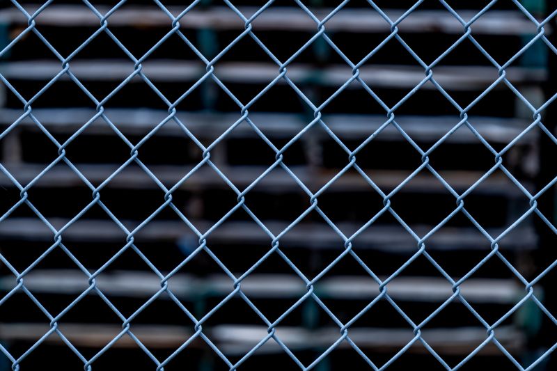 Wire Fence Painting