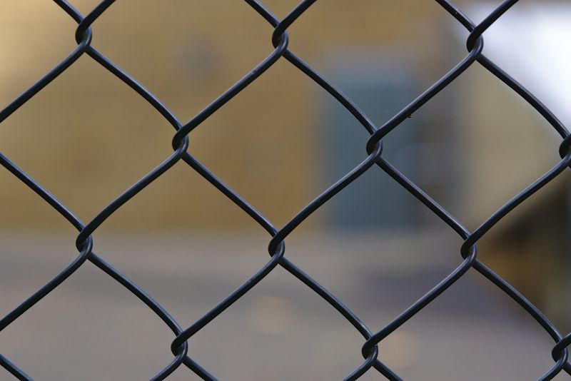 Wire Fence Painting