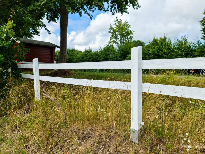 Wire Fence Painting