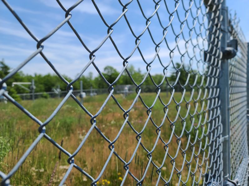 Wire Fence Painting