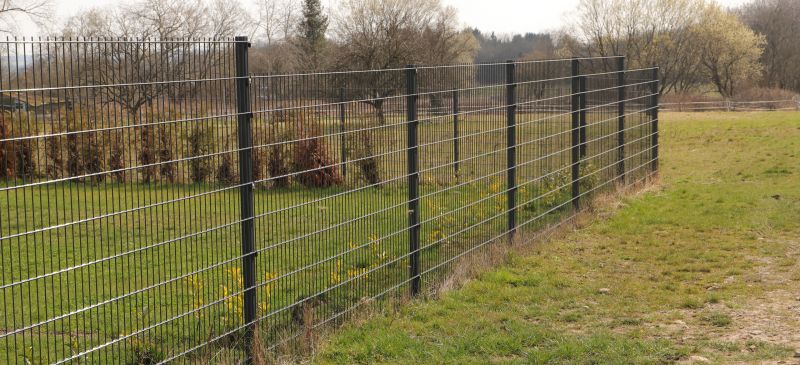 Wire Fence Painting