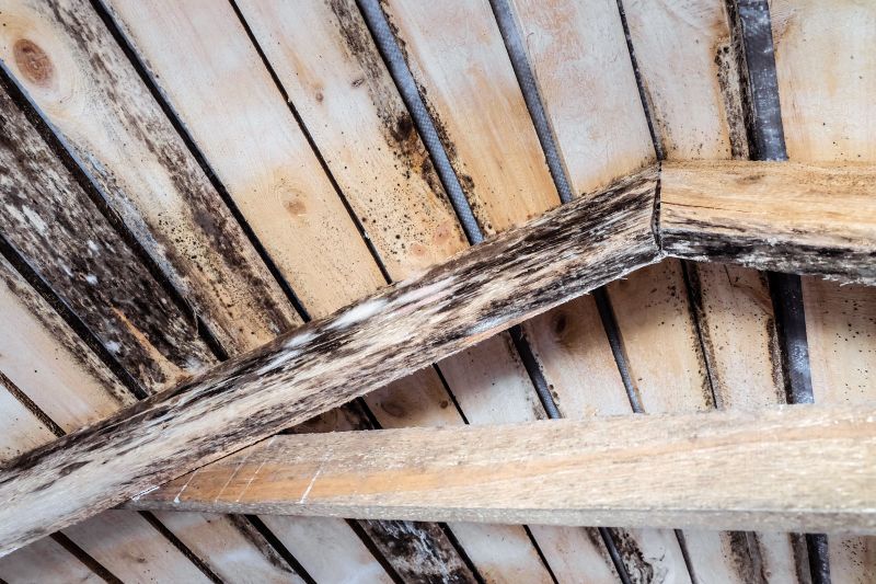 Wood Rot Repair