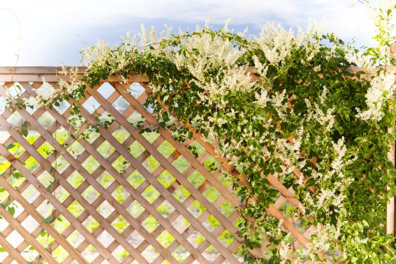 Wood Trellis Installation