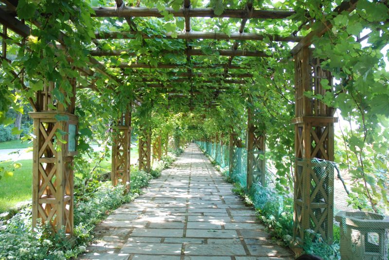 Wood Trellis Installation