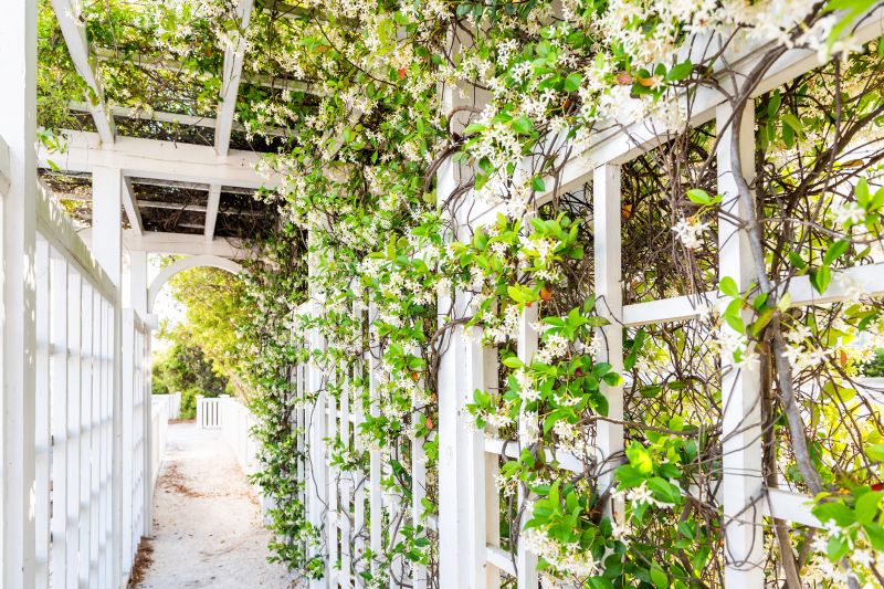Wood Trellis Installation