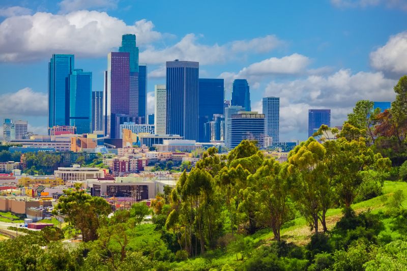 Ant Control Service in Los Angeles, CA