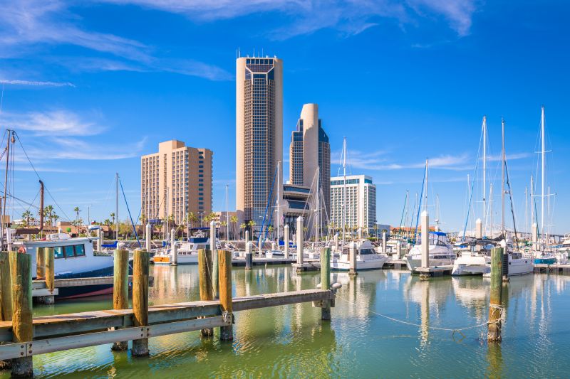Ant Control Service in Corpus Christi, TX