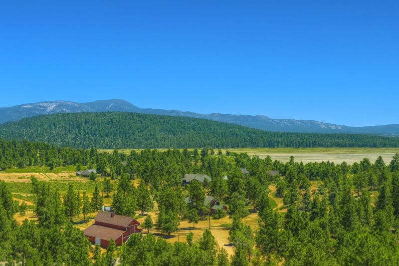 House Raising in Big Bear City, CA