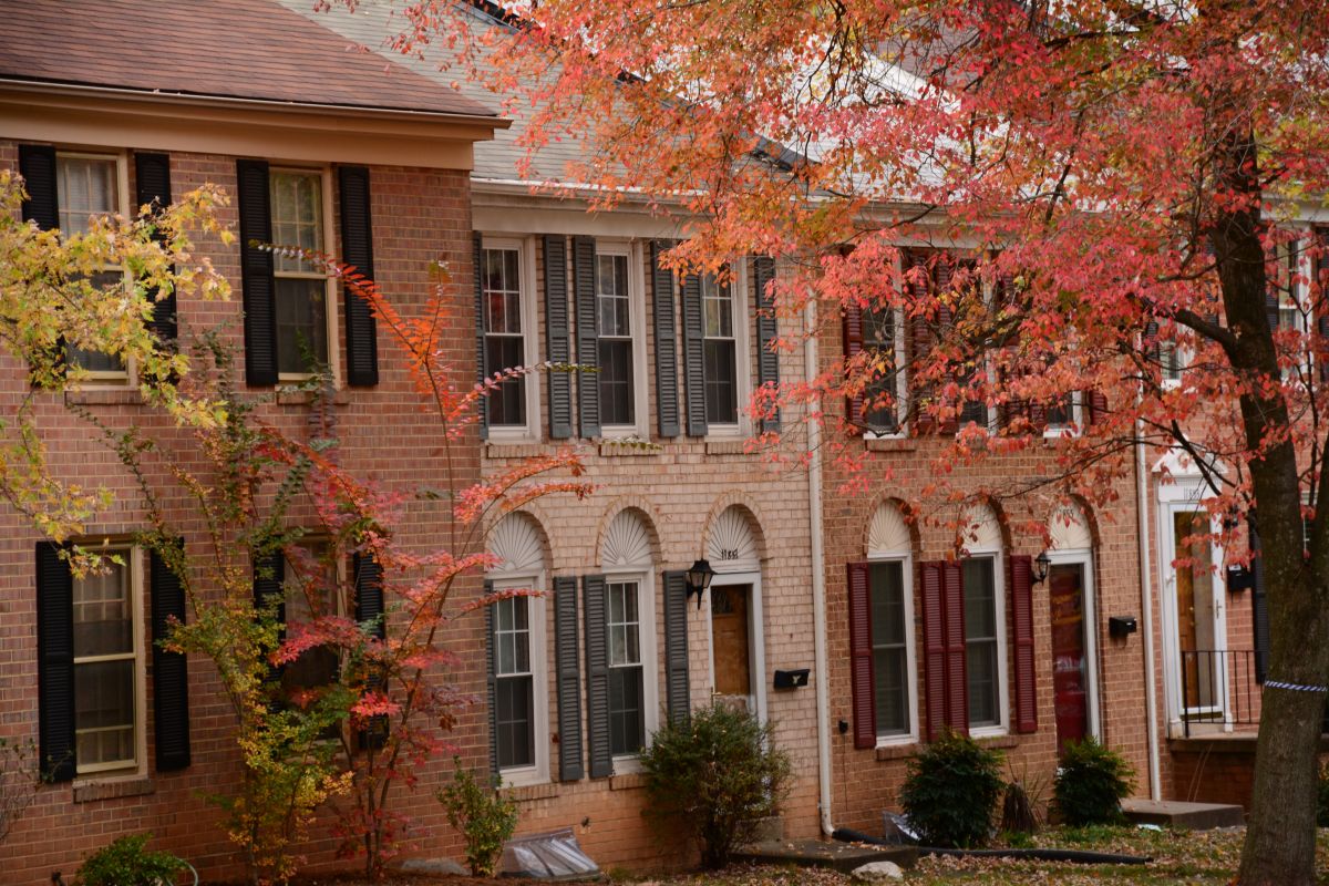 House Raising in Fairfax, VA