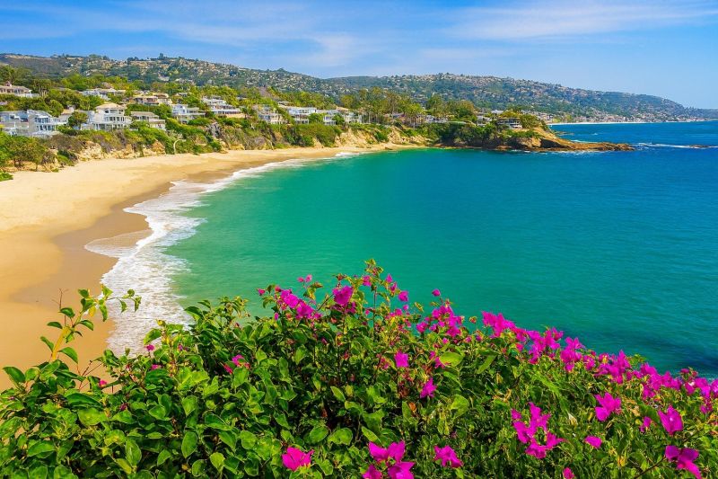 Sheet Flooring Installation in Laguna Beach, CA